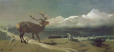 The Challenge by Edwin Landseer